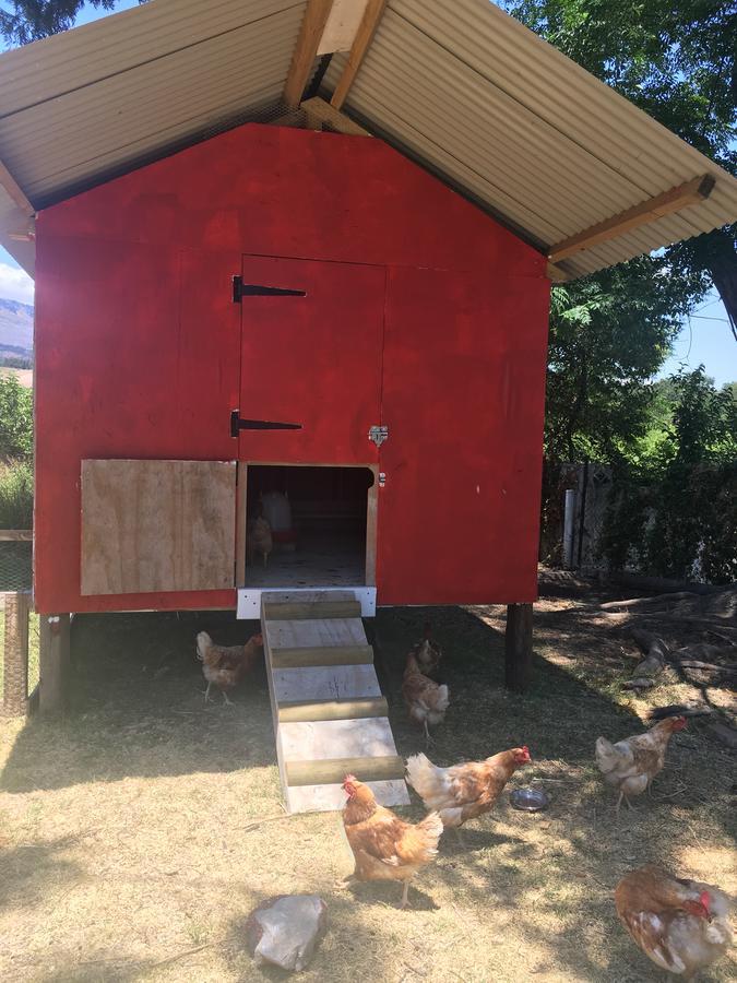 Sweetwater Guesthouse Wellington Bagian luar foto