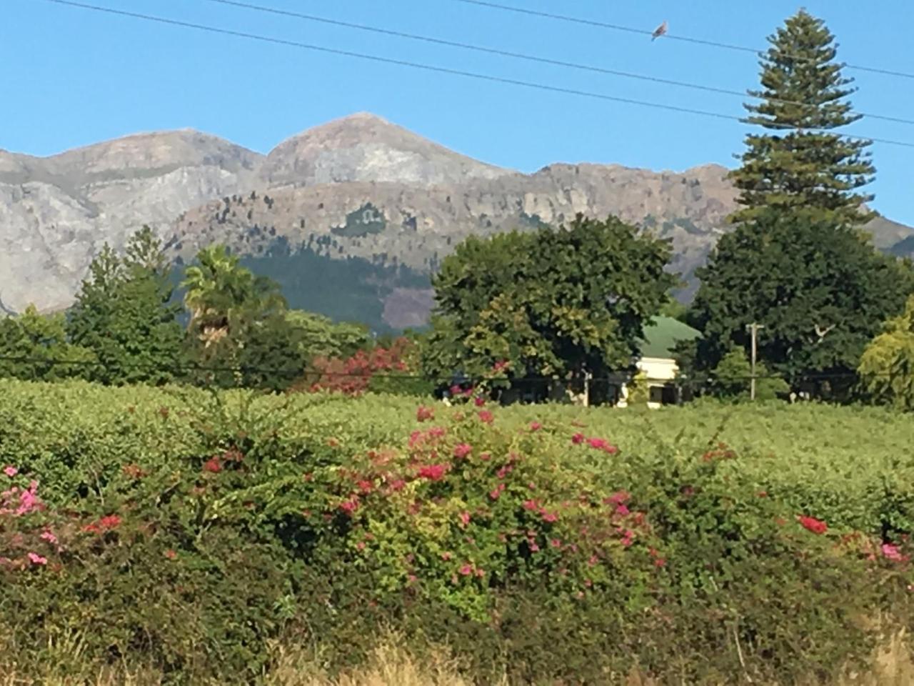 Sweetwater Guesthouse Wellington Bagian luar foto